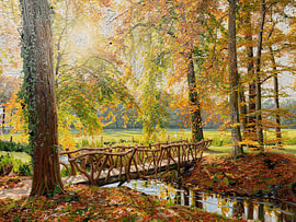 Eine ruhige kleine Holzbrücke in einem Herbstwald. von STUDIO ARTSY