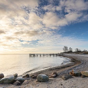 Baltic coast by Werner Reins