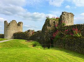 Ruines du château de Trim sur Thomas Zacharias
