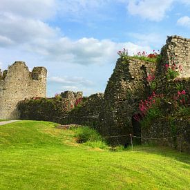 Ruïnes van kasteel Trim van Thomas Zacharias