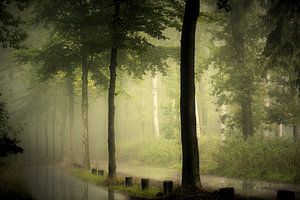 Soft Green II