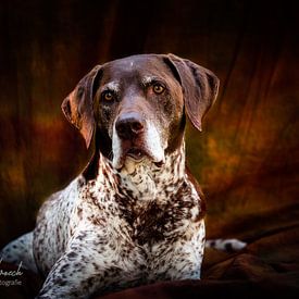 Anja Hoensbroech Profilfoto