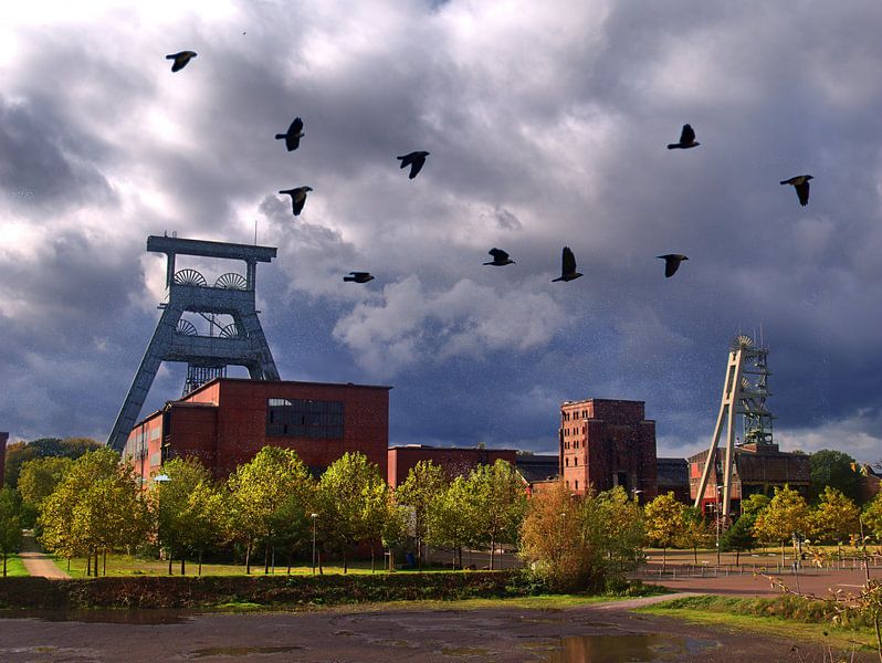 Panorama de la forêt par Edgar Schermaul