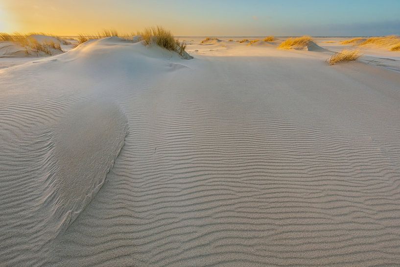 Structuren in de duinen van Andy Luberti