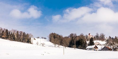 Paysage d'hiver avec des arbres dans la neige dans l'Allgäu en Allemagne