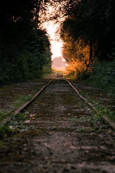Old rails by Tim Breeschooten