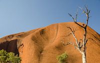 Uluru von Pieter van der Zweep Miniaturansicht