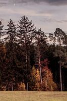 autumn evening
