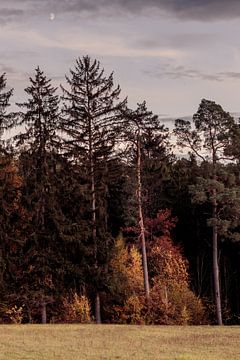 Herbstabend von Severin Frank Fotografie