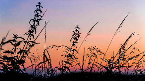 Coucher de soleil aux couleurs de l'été