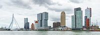 Skyline Kop van Zuid - Rotterdam van Mister Moret thumbnail
