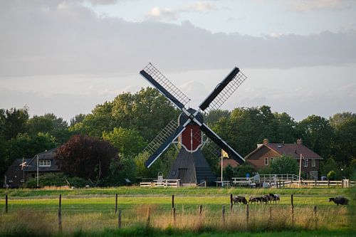 Molen in Utrecht in kleur