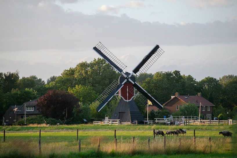 Molen in Utrecht in kleur van Bart van Lier