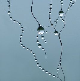 Wet Hair-Day (Hair with Droplets in blue) by Caroline Lichthart