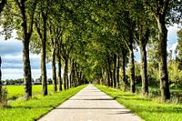 Fahrradweg