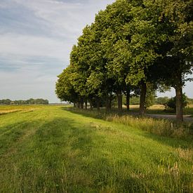 De Moerputten bomen van Hans Janssen