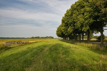 De Moerputten bomen van Hans Janssen
