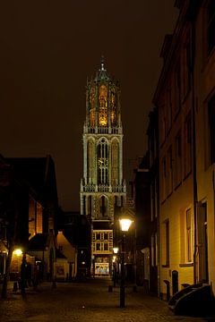 La cathédrale sur Herwin van Rijn