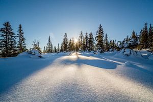 Winterlandschaft Hoher Norden