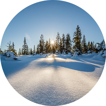 Winterlandschap Hoge Noorden van Coen Weesjes