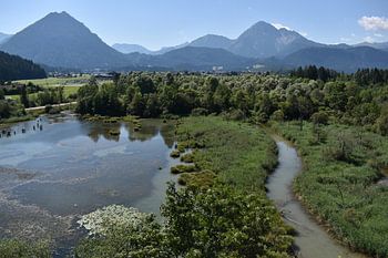 Pflach, Reutte, Lech au Tyrol / Autriche.  Images de la Lechauen, la rivière Lech en été.