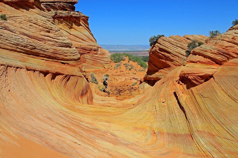The Wave, South Coyote Buttes van Antwan Janssen