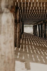 Pavillon von Sanne van Pinxten