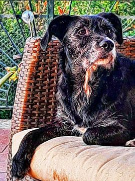 Portret zwarte hond van Dorothy Berry-Lound