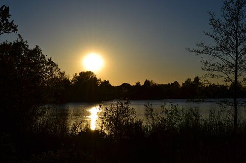 De Groene Ster in Leeuwarden