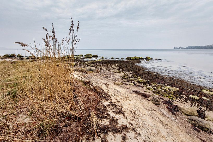 Lauterbach by Rob Boon