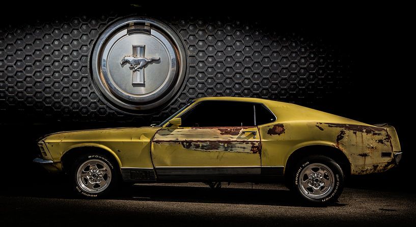 Ford Mustang von marco de Jonge