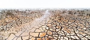 Wad een droogte van Lex Scholten