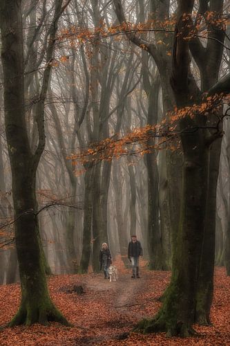 De wandelaars met hond