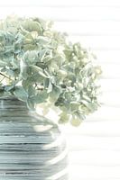 Still life with flower in pastel shades with white