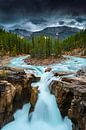 Sunwapta falls par Arnaud Bertrande Aperçu