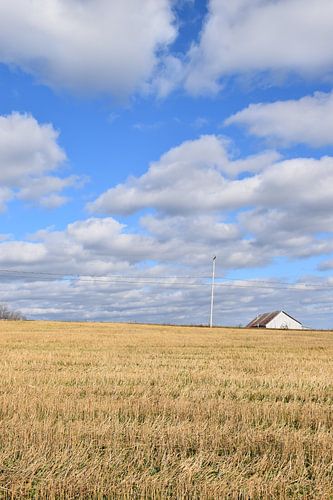Un champ après les récoltes de l'automne