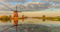 Kinderdijk wereld erfgoed van Lisa Antoinette Photography thumbnail