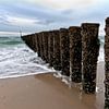 Posts on the beach by Tammo Strijker