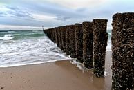 Paaltjes op het strand van Tammo Strijker thumbnail