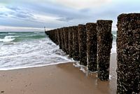 Posts on the beach