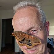 Mark-Joachim Strehl: Wundervolle Welt der Schmetterlinge / Wonderful world of butterflies Profile picture