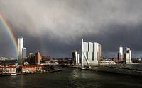 Regenboog Erasmusbrug Rotterdam van Leon van der Velden thumbnail
