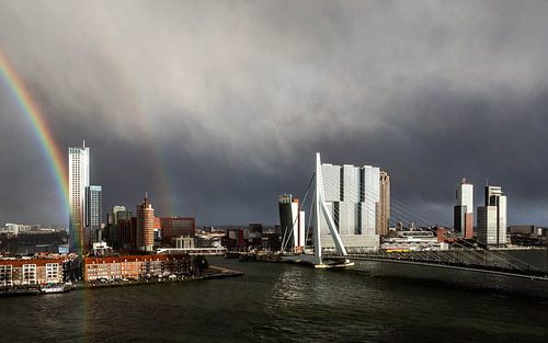 Regenboog Erasmusbrug Rotterdam