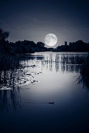 From here to... by Nanouk el Gamal - Wijchers (Photonook)