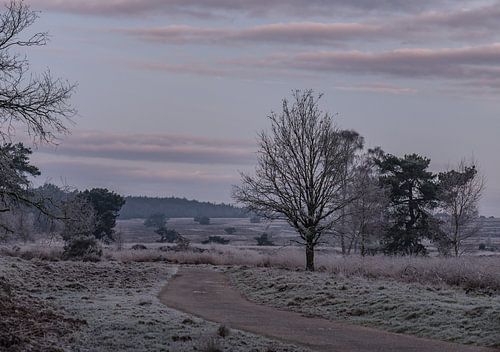 winter morning in Roozendaal