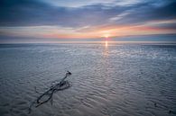 Zonsondergang Wijk aan Zee van Marco Maljaars thumbnail