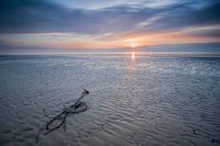 Zonsondergang Wijk aan Zee