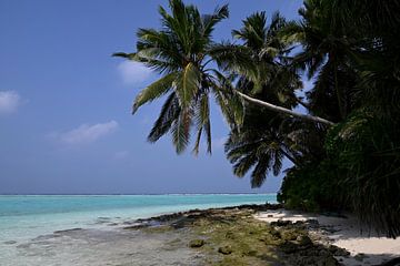 MALDIVES 1 sur Miroslav Ptacek