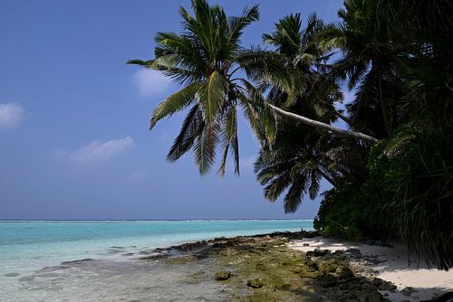 MALDIVES 1