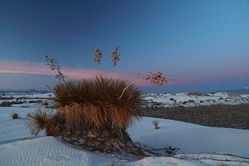 White Sands National Monument New Mexico USA van Frank Fichtmüller